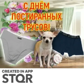 Sticker Праздники by @stqrapp - 1