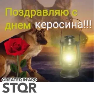 Sticker Праздники by @stqrapp - 10