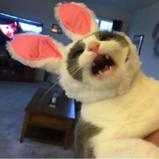 Sticker Wrtpkhbl - 1