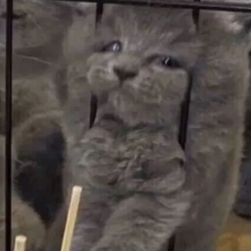 Стикер Wrtpkhbl - 1