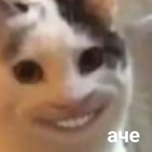 Стикер Wrtpkhbl - 1