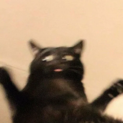 Sticker Wrtpkhbl - 1