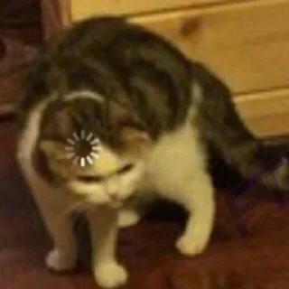 Sticker Кошаки. Автор @I_Lie_I. - 0