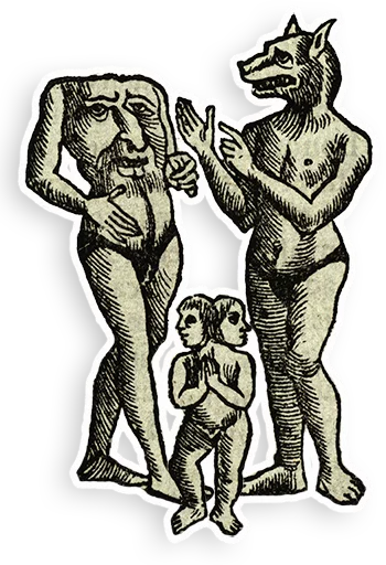 sketch drawing illustration