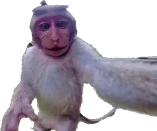 Sticker @stikerk877 - 6