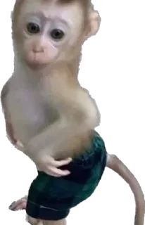 Sticker @stikerk877 - 5