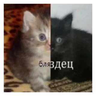 Sticker VoidShit by @hopes_42 - 9