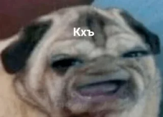 Sticker VoidShit by @hopes_42 - 6