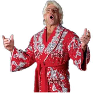 Sticker WWE Stickers @Fella_506 - 6