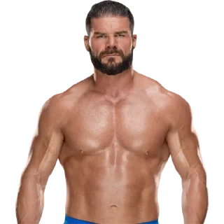 Sticker WWE Stickers @Fella_506 - 0