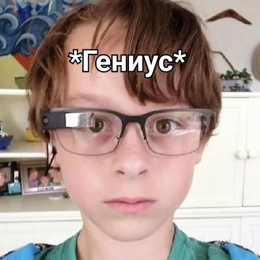 Человек человеческое лицо комнатный