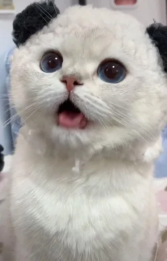 Sticker хосподи боже любимое.... :: @fStikBot - 9