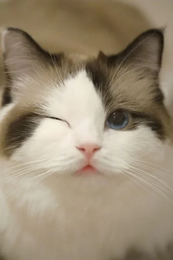 Sticker хосподи боже любимое.... :: @fStikBot - 8