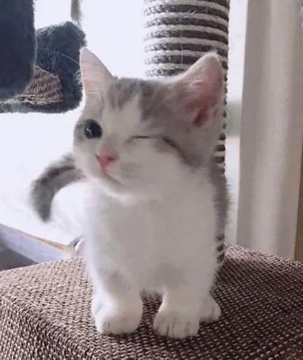 Sticker хосподи боже любимое.... :: @fStikBot - 7