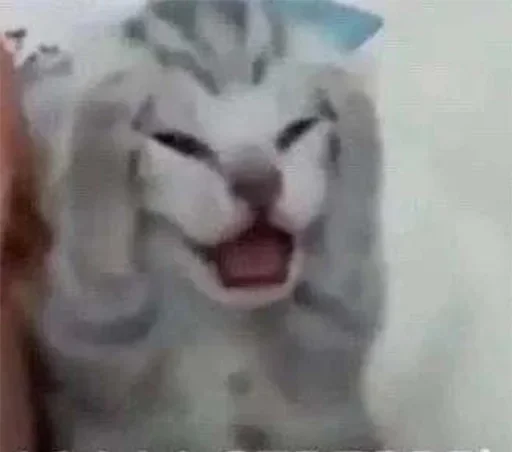 Sticker хосподи боже любимое.... :: @fStikBot - 6