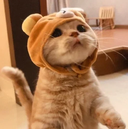 Sticker хосподи боже любимое.... :: @fStikBot - 4