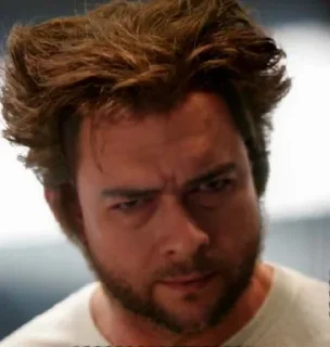 Sticker Dpayka 👉 @Deadpool_WolverineBot - 6