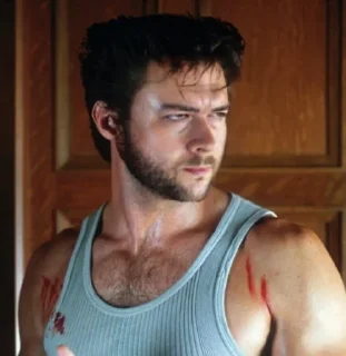 Sticker Dpayka 👉 @Deadpool_WolverineBot - 7