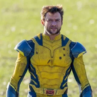 Sticker Dpayka 👉 @Deadpool_WolverineBot - 4