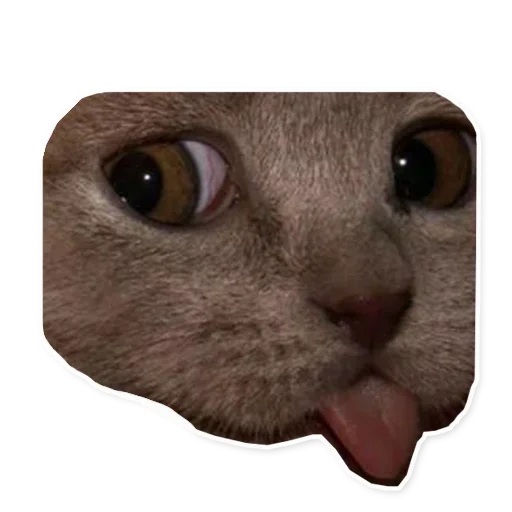 Sticker XADofejvi_by_stickers_stealer_bot - 1