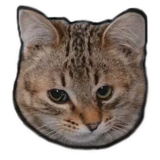 Sticker XADofejvi_by_stickers_stealer_bot - 1