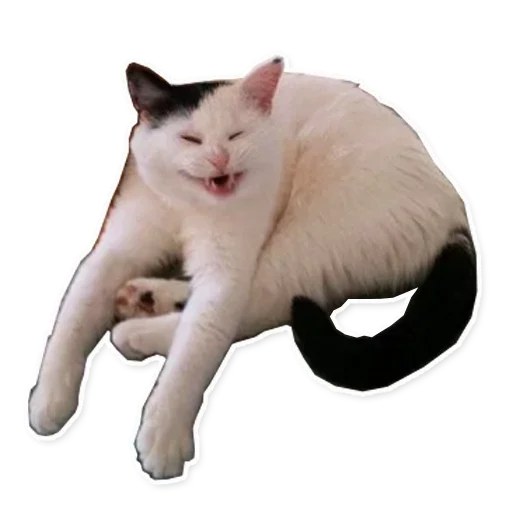 Sticker XADofejvi_by_stickers_stealer_bot - 1