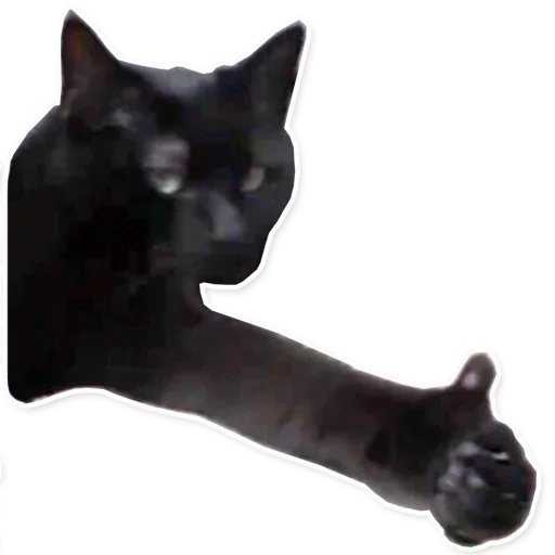 Sticker XADofejvi_by_stickers_stealer_bot - 1