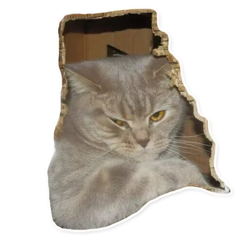 Sticker XADofejvi_by_stickers_stealer_bot - 1