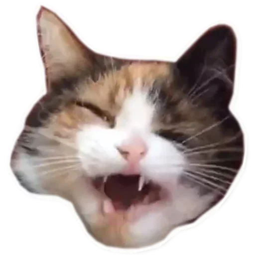 Sticker XADofejvi_by_stickers_stealer_bot - 1