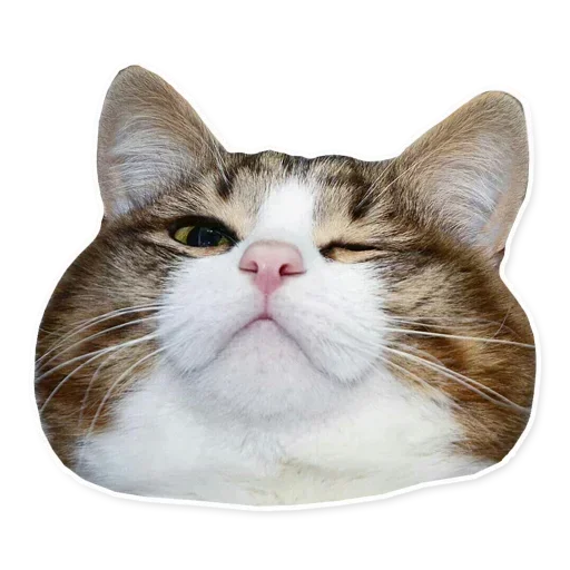 Sticker XADofejvi_by_stickers_stealer_bot - 1