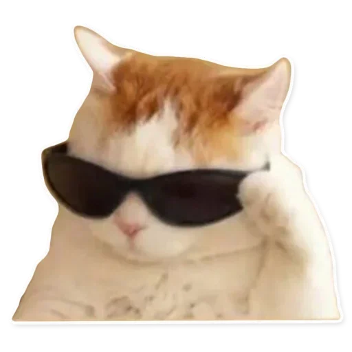 Sticker XADofejvi_by_stickers_stealer_bot - 1