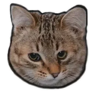 Стикер @sexstikkers - 9