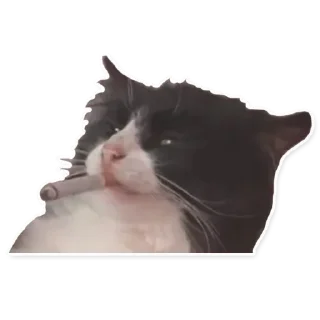 Стикер @sexstikkers - 11