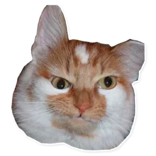 Стикер @sexstikkers - 7