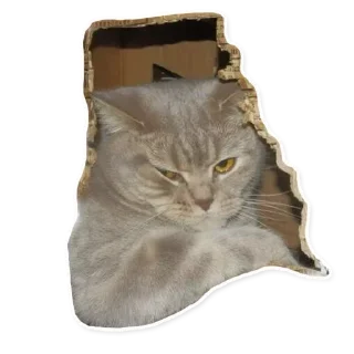 Стикер @sexstikkers - 4