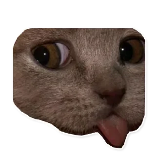 Стикер @sexstikkers - 10