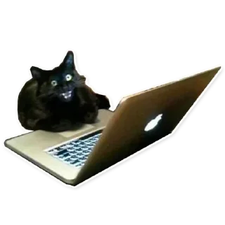 Стикер @sexstikkers - 5