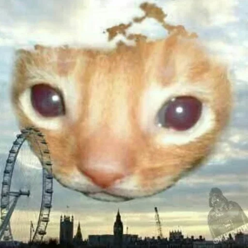 Стикер Стики 2190 из @Anonymnyi_chat_bot - 11