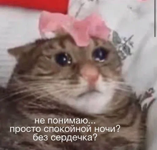 Стикер Стики 2190 из @Anonymnyi_chat_bot - 4