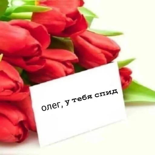 Sticker Гдз по изо - 9