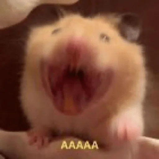 Sticker Гдз по изо - 1