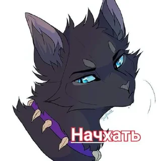 Стикер Коты воители • @sticbot - 2