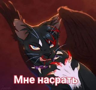 Стикер Коты воители • @sticbot - 5