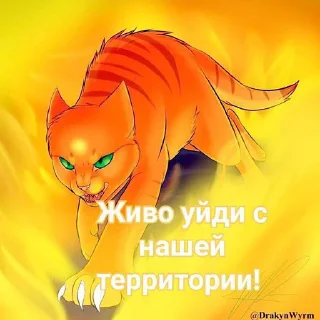 Стикер Коты воители • @sticbot - 8