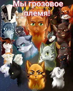 Стикер Коты воители • @sticbot - 10