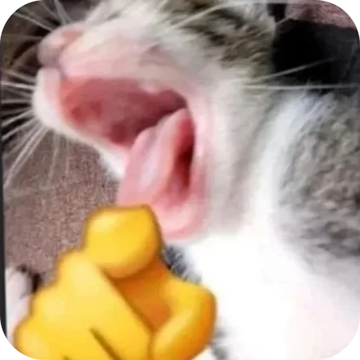 Sticker XDhkzEr_by_achestickbot - 1