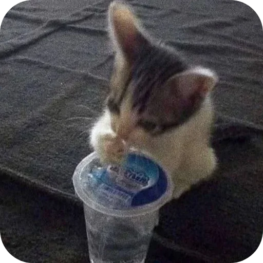 Больше стиков тут: @stikery4 - 