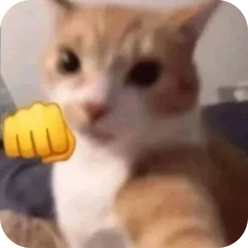 Sticker XDhkzEr_by_achestickbot - 1