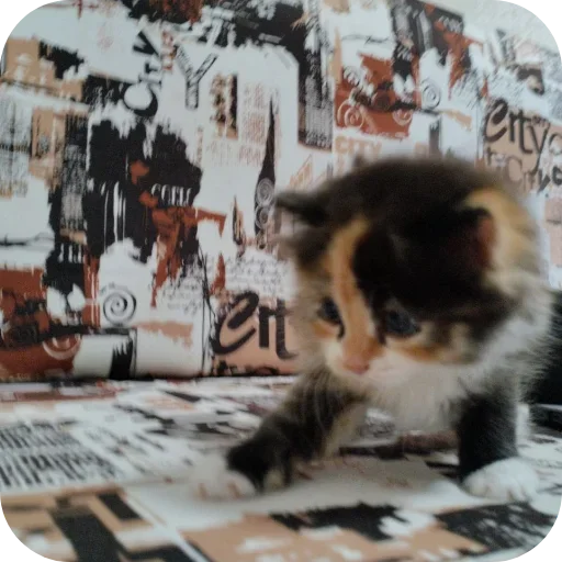 Стикер XDhkzEr_by_achestickbot - 1