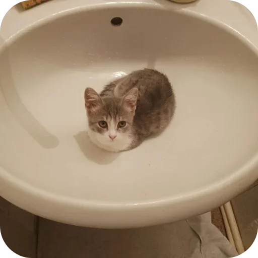 Стикер XDhkzEr_by_achestickbot - 1